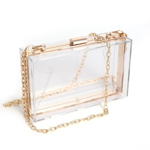 WJCD Acrylic Box Clutch