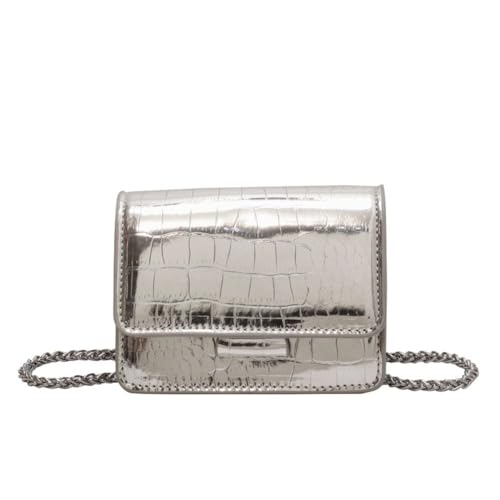Anytiger Silver Mini Purse